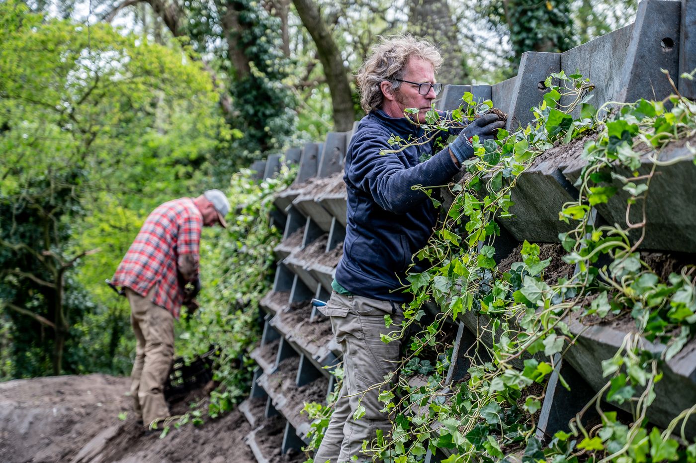 Vakmensen van De Groene Ruyt aan het werk met beplanting