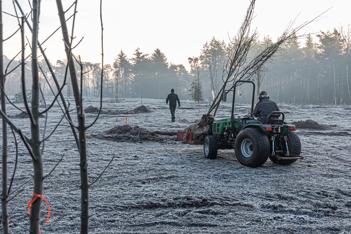 Machinale aanplant van bomen op een winterse ochtend